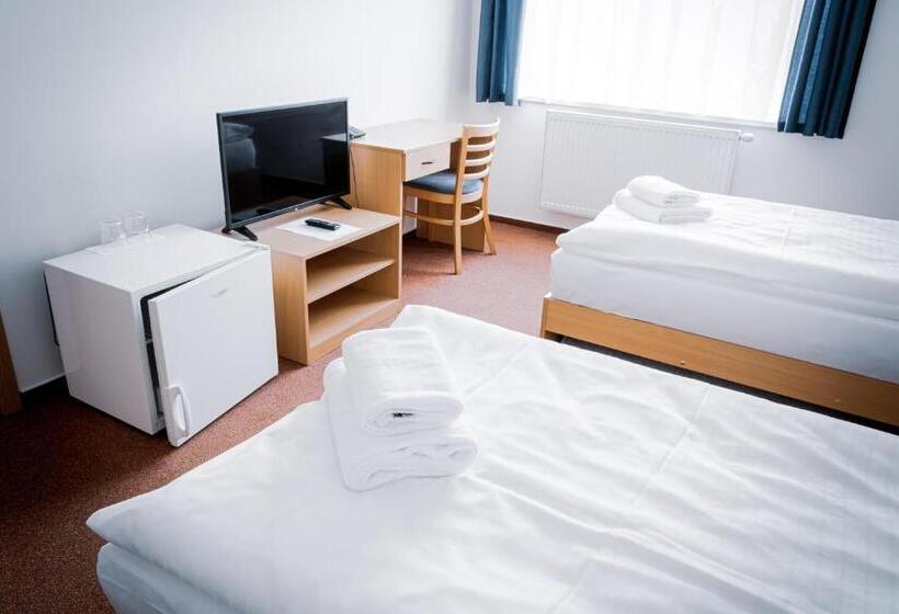 غرفة قياسية رباعية, Arena