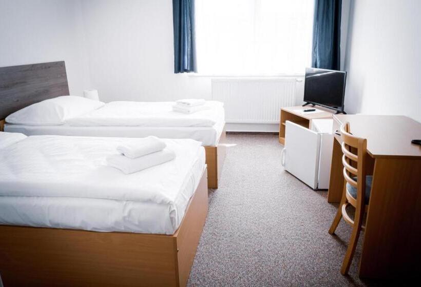 اتاق استاندارد چهار تخته, Arena