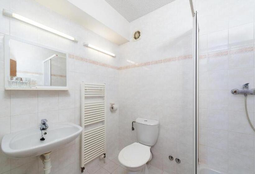 اتاق استاندارد, Arena