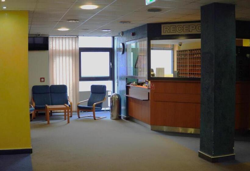 غرفة قياسية, Arena