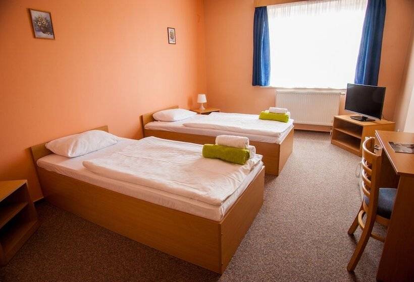 غرفة قياسية, Arena