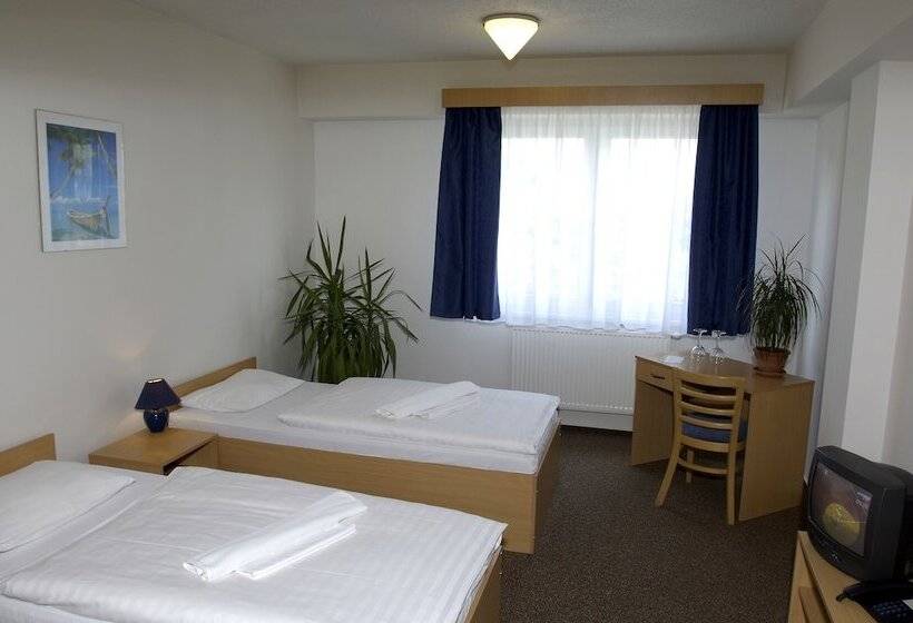 اتاق استاندارد, Arena