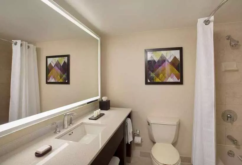 スイート, Embassy Suites Louisville Downtown