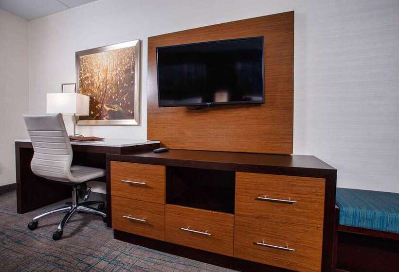 스탠다드 룸 킹사이즈 침대, Hampton Inn Kenedy