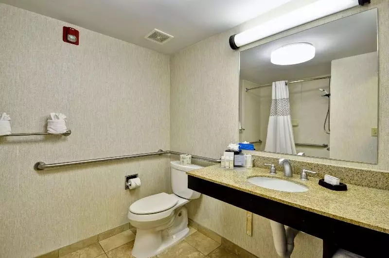 اتاق استاندارد با تخت بزرگ, Hilton Garden Inn Gallup