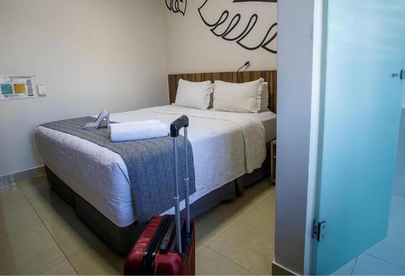 スタンダードルーム, Horto