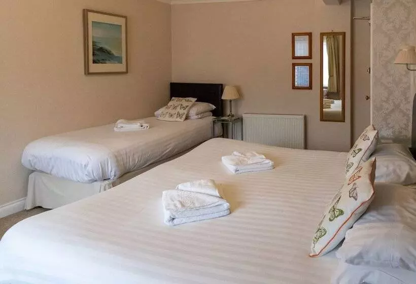اتاق سوپریور سه تخته, Newport Quay