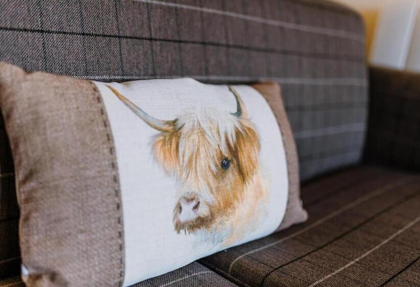 Семейный Номер, The Bull