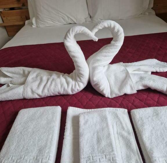 اتاق استاندارد چهار تخته, Casa Do Albuquerque