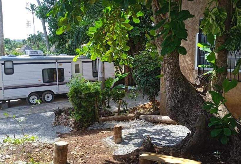 اتاق استاندارد, Arena Oceanview Hotel & La Terraza Restaurant