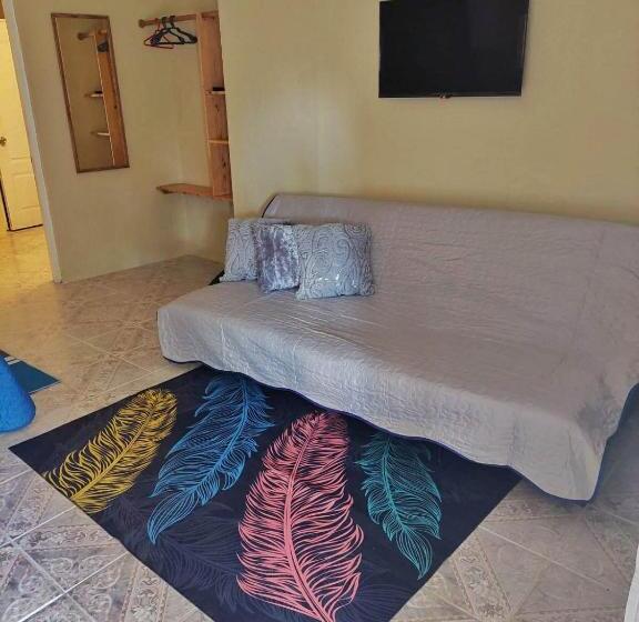 آپارتمان سوپریور 1 خوابه, Arena Oceanview Hotel & La Terraza Restaurant