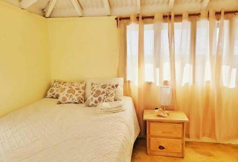 آپارتمان سوپریور 1 خوابه, Arena Oceanview Hotel & La Terraza Restaurant