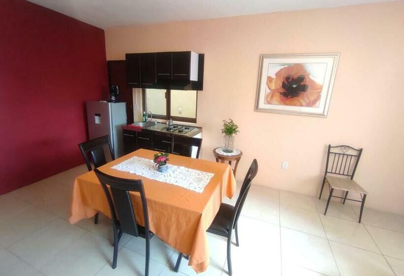 آپارتمان 1 خوابه با چشم‌انداز باغ, La Casa Rosa Guanajuato