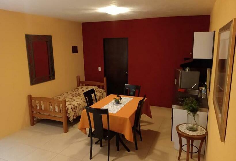 آپارتمان 1 خوابه با چشم‌انداز باغ, La Casa Rosa Guanajuato