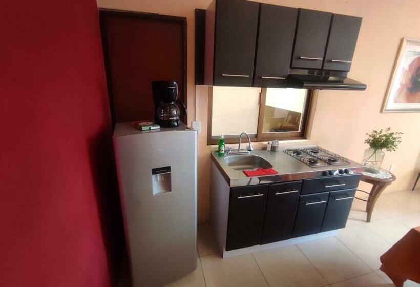 آپارتمان 1 خوابه با چشم‌انداز باغ, La Casa Rosa Guanajuato