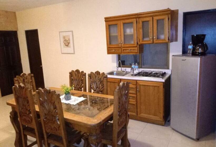 آپارتمان 1 خوابه همکف, La Casa Rosa Guanajuato