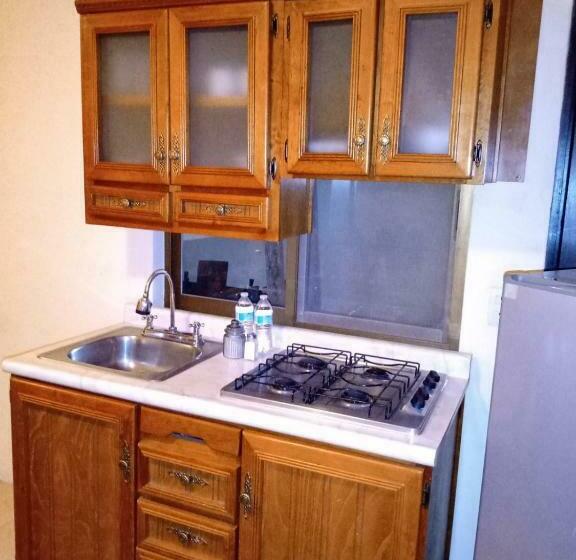 آپارتمان 1 خوابه همکف, La Casa Rosa Guanajuato