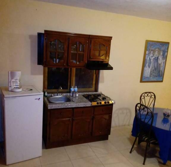 آپارتمان سوپریور 1 خوابه, La Casa Rosa Guanajuato