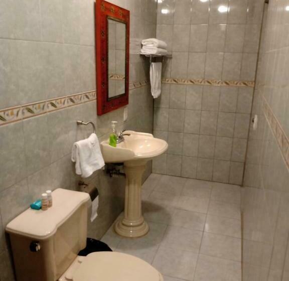 آپارتمان سوپریور 1 خوابه, La Casa Rosa Guanajuato