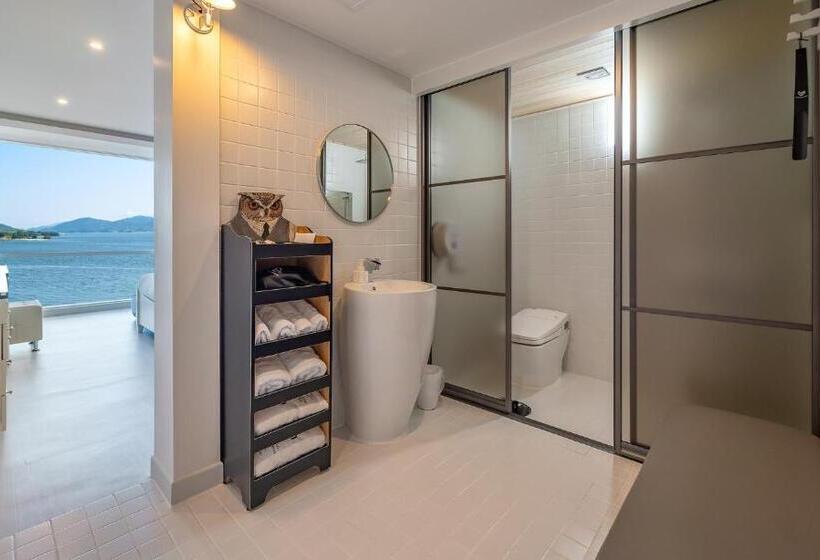 غرفة قياسية مطلّة علي البحر, Owl