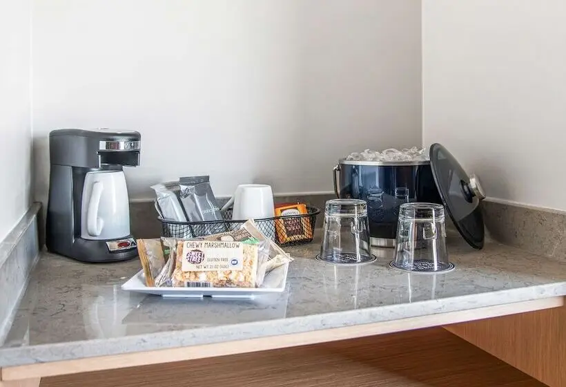 身障者適用クイーンサイズベッドルーム, Hyatt Place Newark Silicon Valley