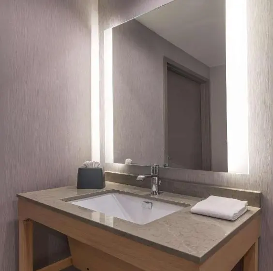 身障者適用スイートルーム, Hyatt Place Newark Silicon Valley