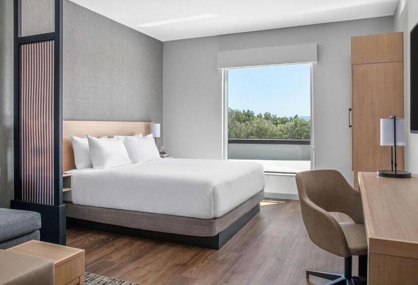 适合残疾人士使用的套间, Hyatt Place Newark Silicon Valley