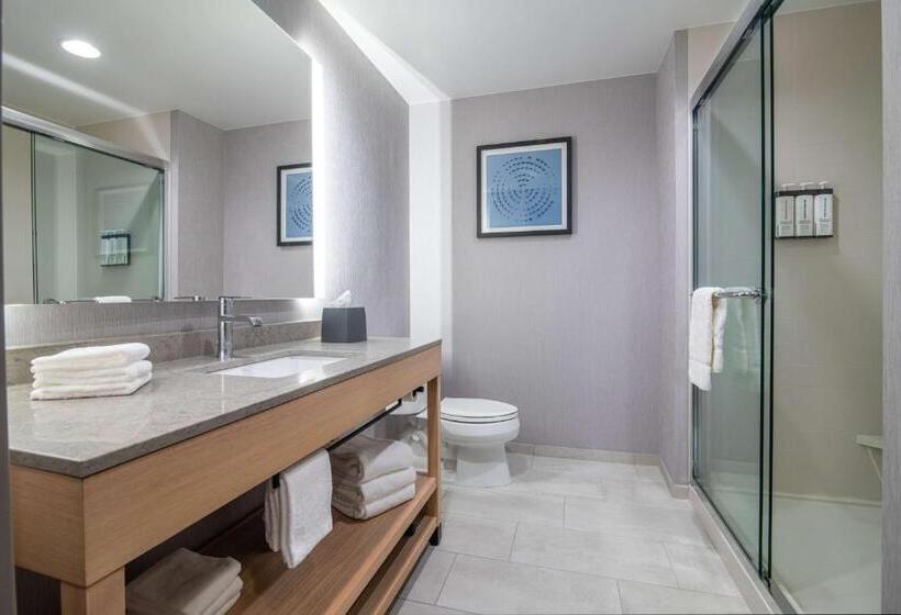 高级寓所标准房间, Hyatt Place Newark Silicon Valley