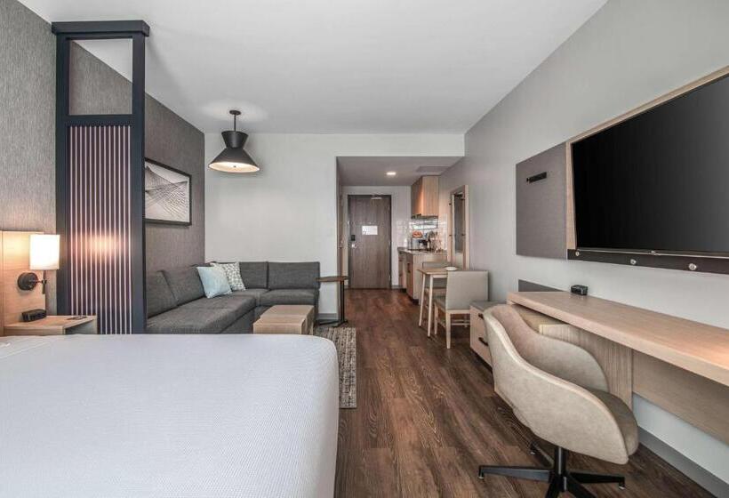 带大床的标准间, Hyatt Place Newark Silicon Valley