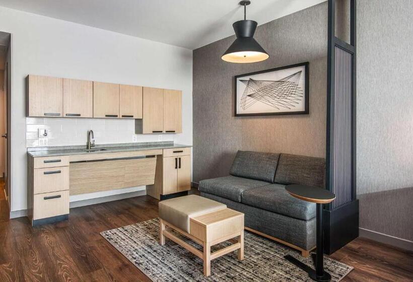 适合残疾人士使用的带超级大床的标准间, Hyatt Place Newark Silicon Valley