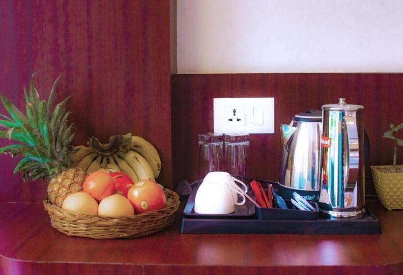 带大床的标准间, Avianna Gangtok Resort & Spa