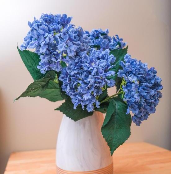 اتاق استاندارد با تخت بزرگ, Lộc Thiên ân