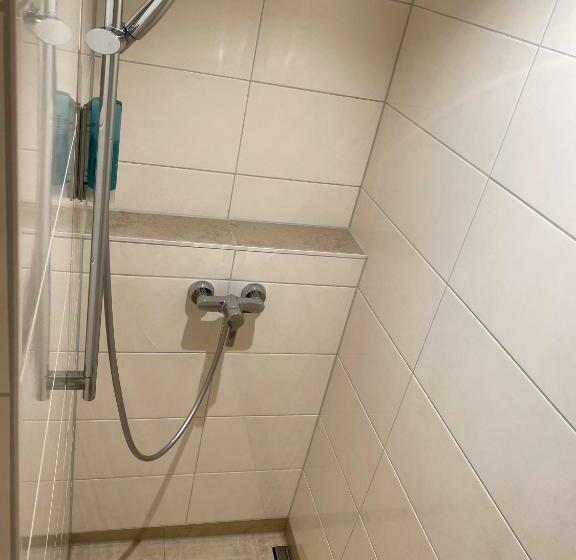 Номер Deluxe Одноместный, Gästehaus Linde Salching