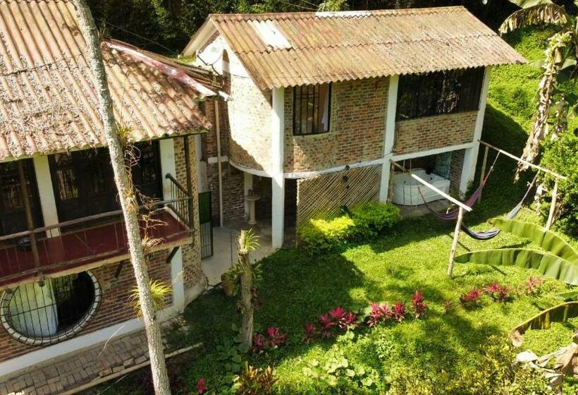 غرفة قياسية سرير كينج, Duck House Hostel / La Vega