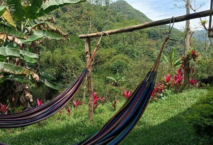 Стандартный Номер Кровать Кинг, Duck House Hostel / La Vega