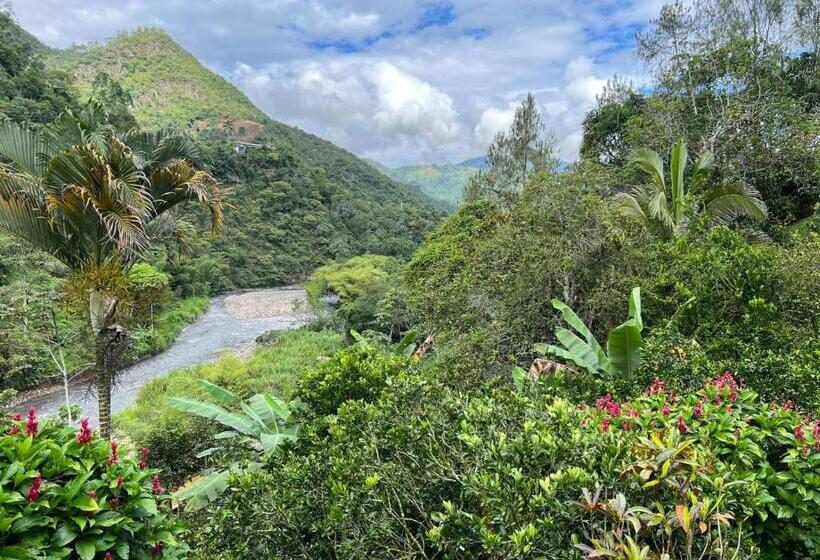 فيلا غرفة نوم واحدة مع مسبح, Duck House Hostel / La Vega