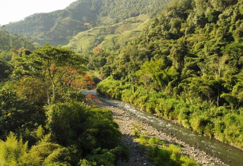 فيلا غرفة نوم واحدة مع مسبح, Duck House Hostel / La Vega
