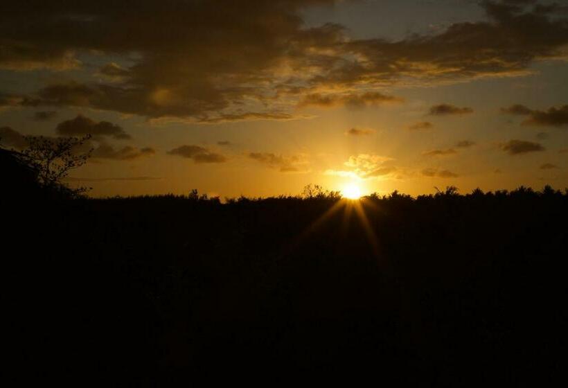 스탠다드 방갈로, Afriican Village Zanzibar