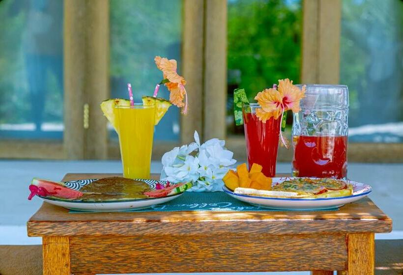 스탠다드 방갈로, Afriican Village Zanzibar