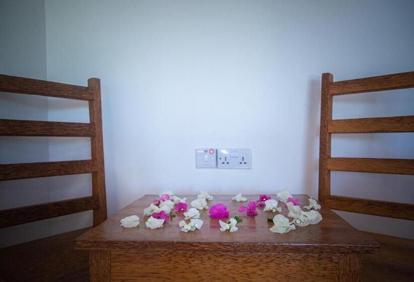 스탠다드 방갈로, Afriican Village Zanzibar