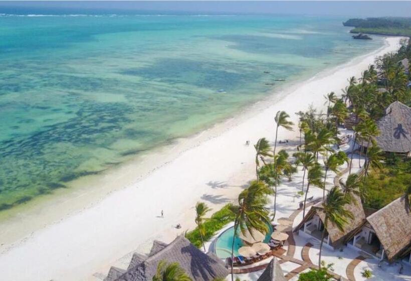 스탠다드 방갈로, Afriican Village Zanzibar