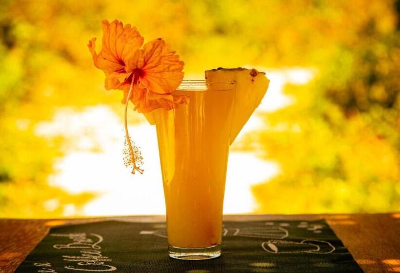 스탠다드 방갈로, Afriican Village Zanzibar