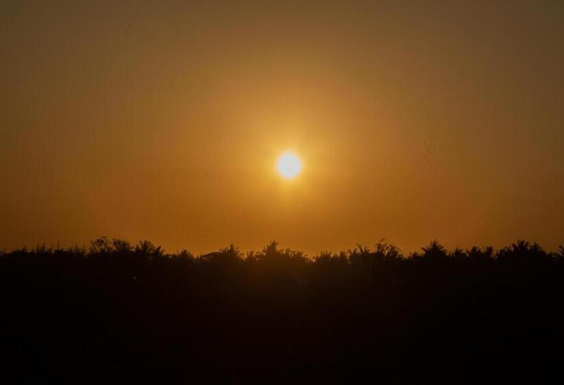 스탠다드 방갈로, Afriican Village Zanzibar