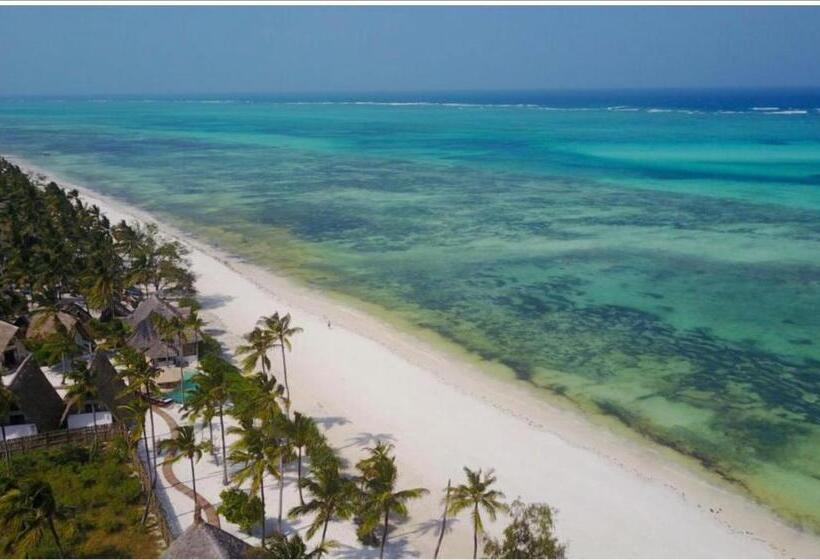 스탠다드 방갈로, Afriican Village Zanzibar