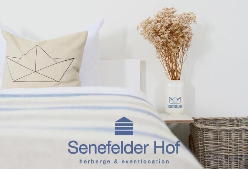 Семейный Номер, Senefelder Hof