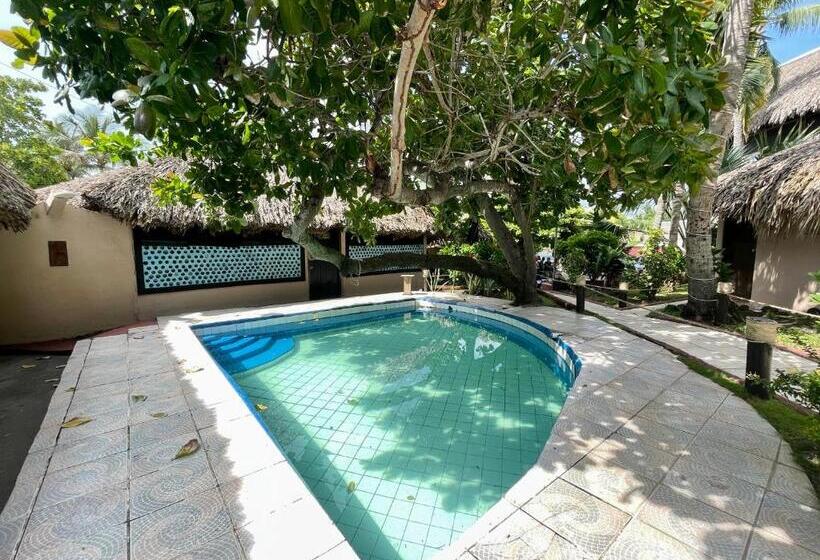 بانگلوی استاندارد, Johnnys Place