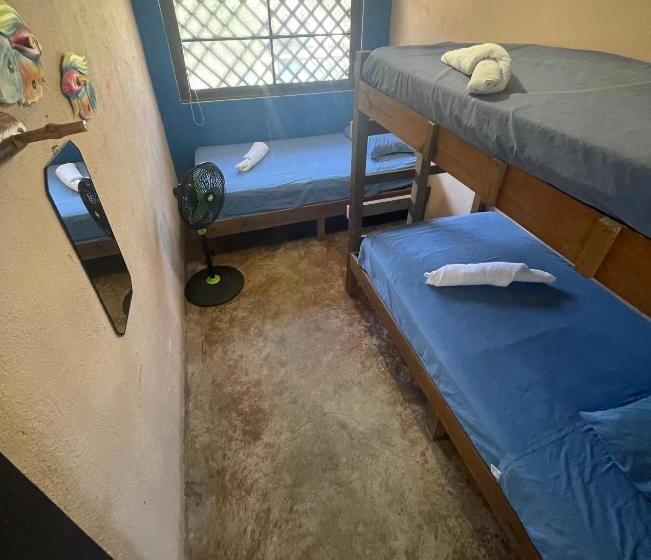 اتاق استاندارد سه نفره, Johnnys Place