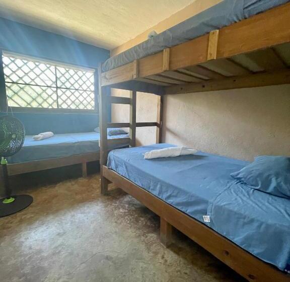 اتاق استاندارد سه نفره, Johnnys Place