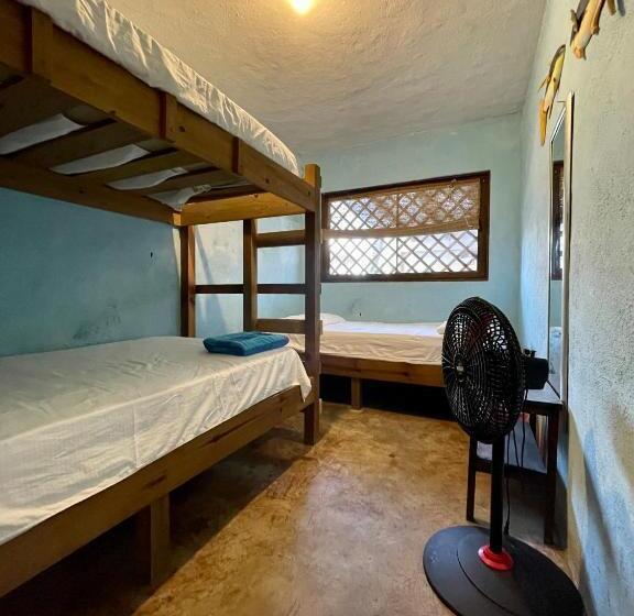 اتاق استاندارد سه نفره, Johnnys Place