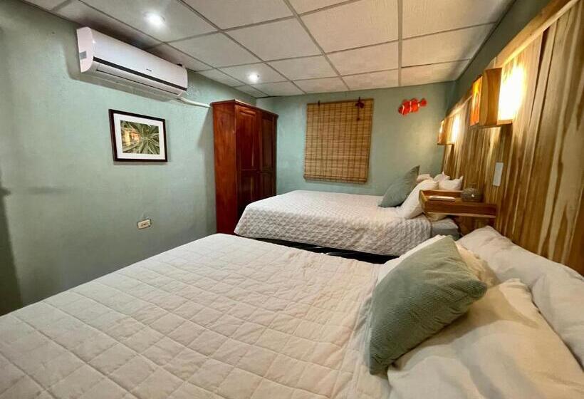 کلبه ییلاقی, Johnnys Place